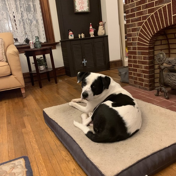 Meet your Posher, Julie - Picture 3 of 3